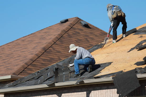 Best Roof Moss and Algae Removal  in Rinna, VA